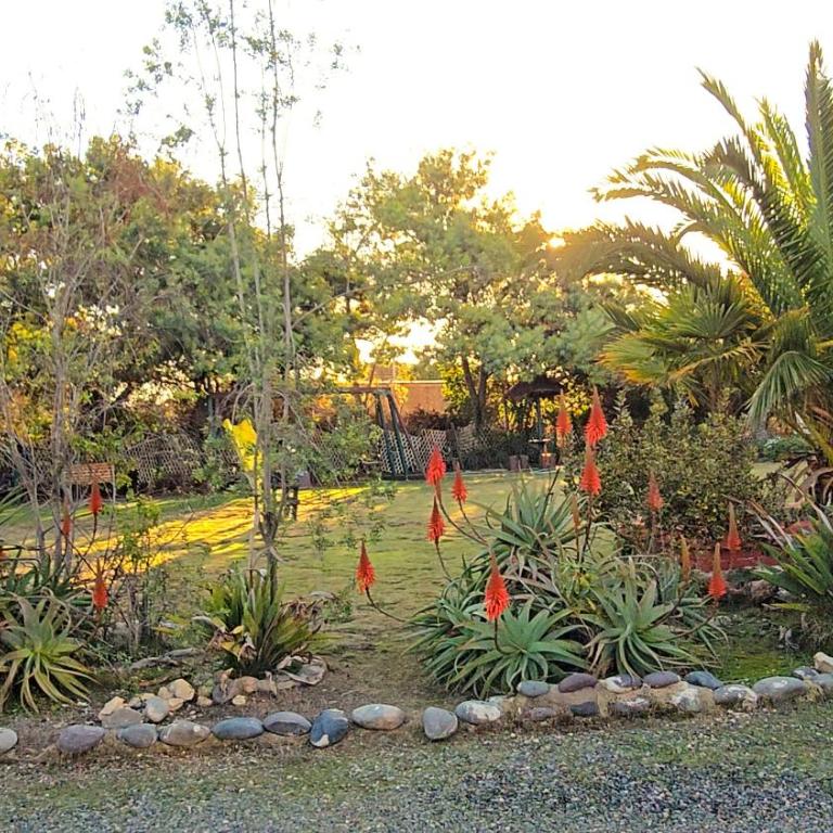 Cabañas La Campiña Algarrobo - Two-Bedroom House - 23