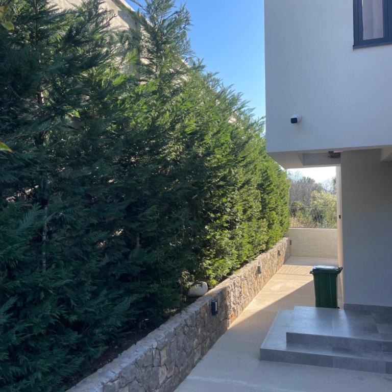 Villa Pine - Villa - 68