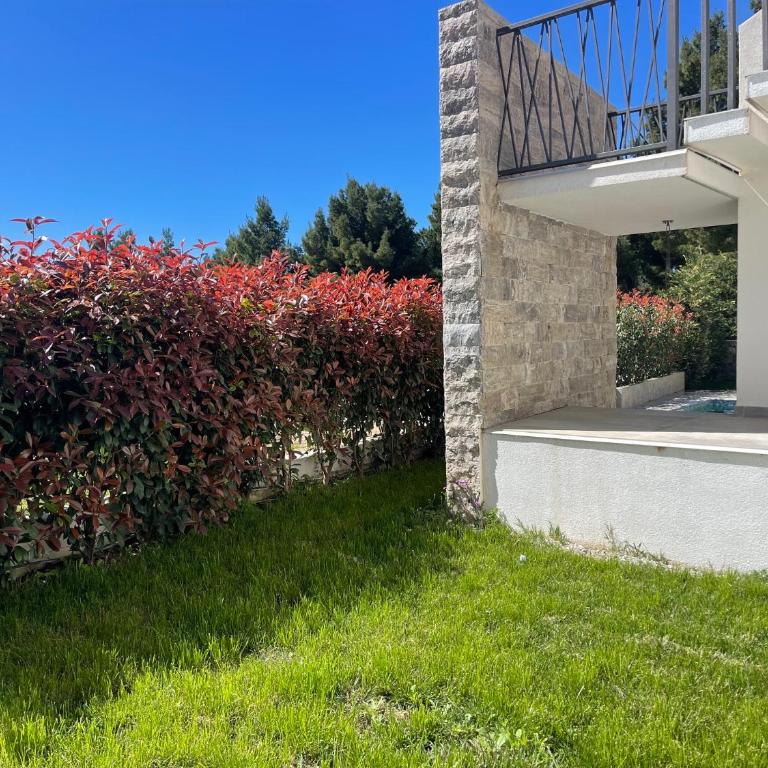 Villa Pine - Villa - 70