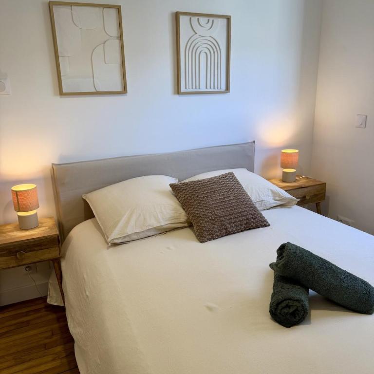 Le Tassigny - T2 centre de Rennes - Appartement 1 Chambre - 10