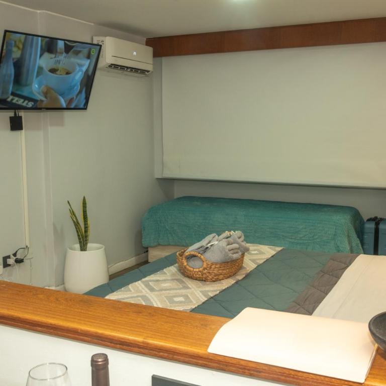 Estudio Lino - Apartamento de 1 dormitorio - 10