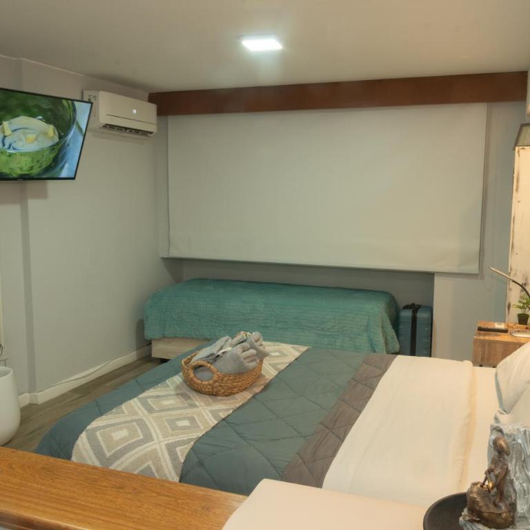 Estudio Lino - Apartamento de 1 dormitorio - 11
