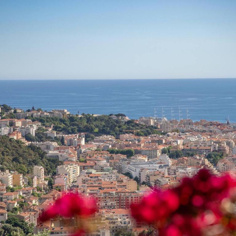 Villa Bonnard in Nice Sea and city View & Pool - Villa - 66