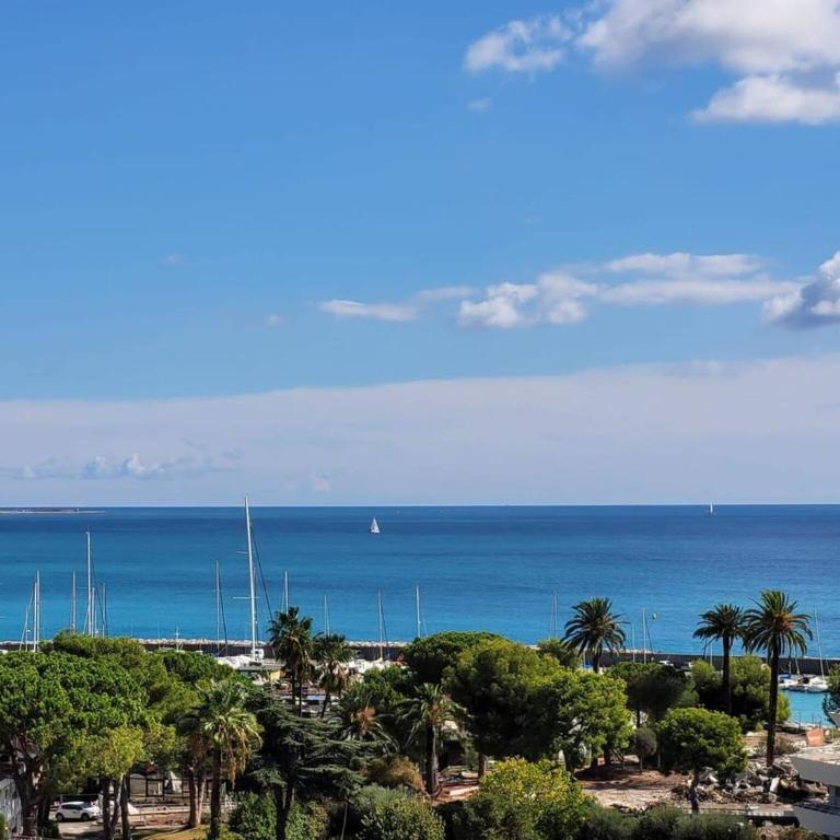 Lovely studio in Marina Baie des Anges - Appartement - 13