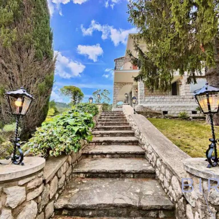 Magnificent residence with swimming pool and garden in Mougins - Villa - 13