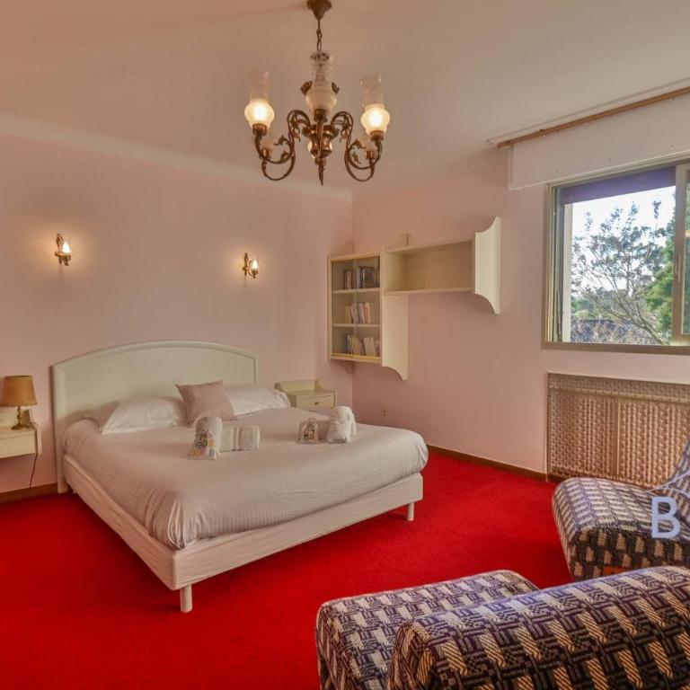 Magnificent residence with swimming pool and garden in Mougins - Villa - 49
