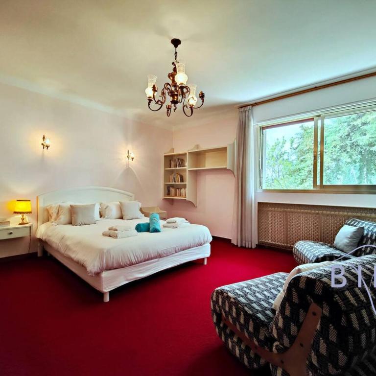 Magnificent residence with swimming pool and garden in Mougins - Villa - 52