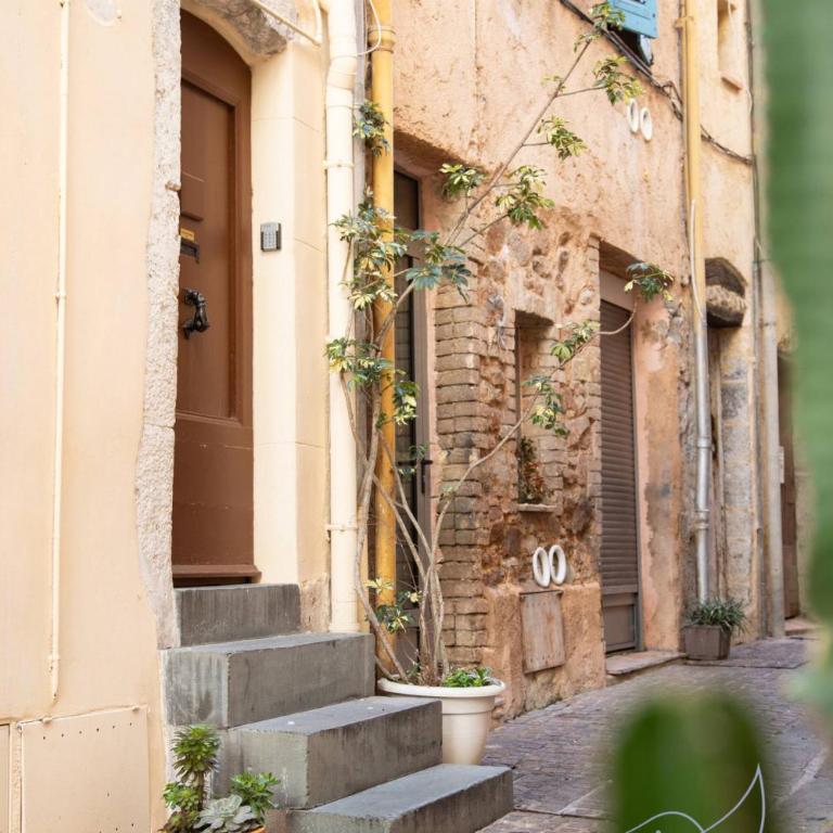Charming town house in the heart of Suquet - Maison de Vacances - 7