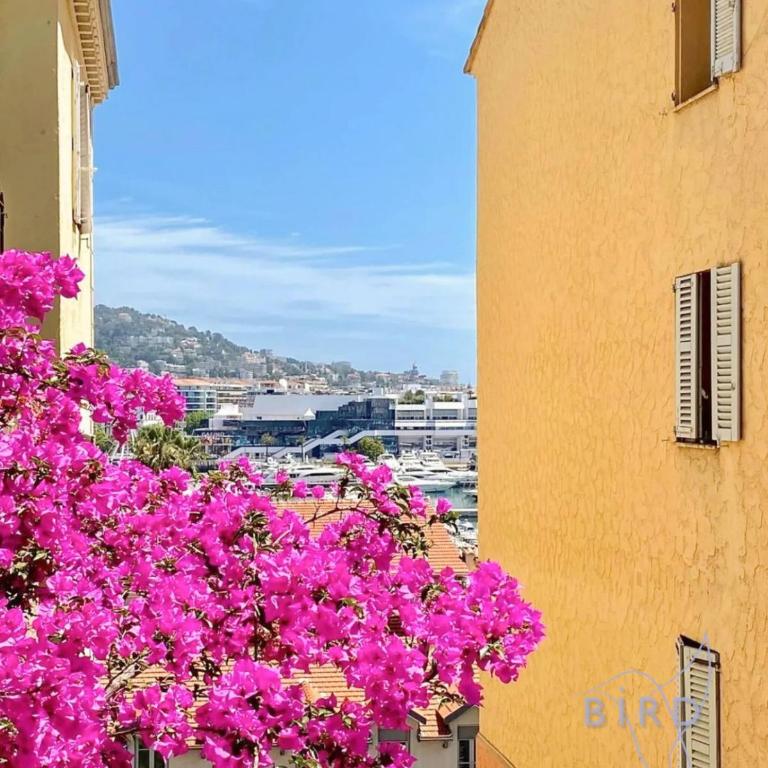 Lovely renovated studio in the heart of Cannes - Studio - 17