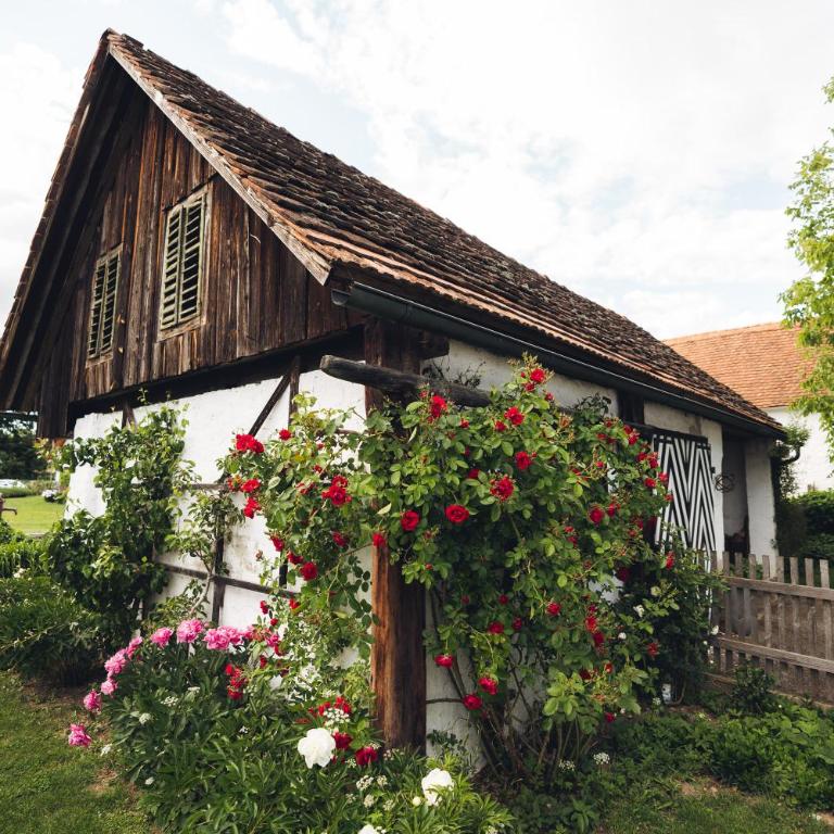Villa Vulcania - Idyllisches Gästehaus mit Pool - Superior Doppelzimmer - 14