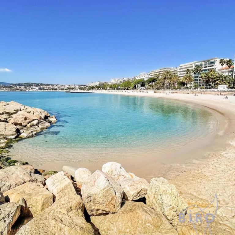 Cozy renovated apartment with sea view - Apartment - 26
