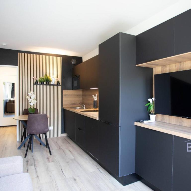 Sunny Flat in Juan les pins - Studio - 3
