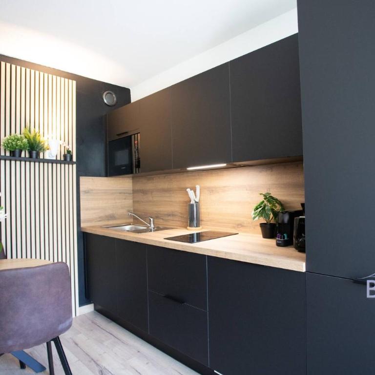 Sunny Flat in Juan les pins - Studio - 5