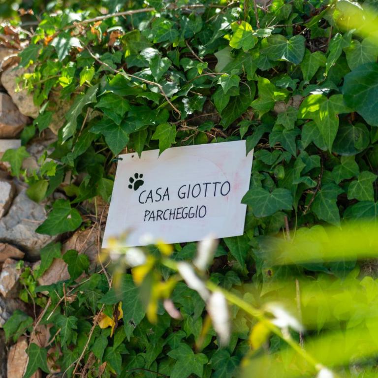 Acquariese - Casa Margot e Casa Giotto - Appartamento con 1 Camera da Letto e Terrazza - 12