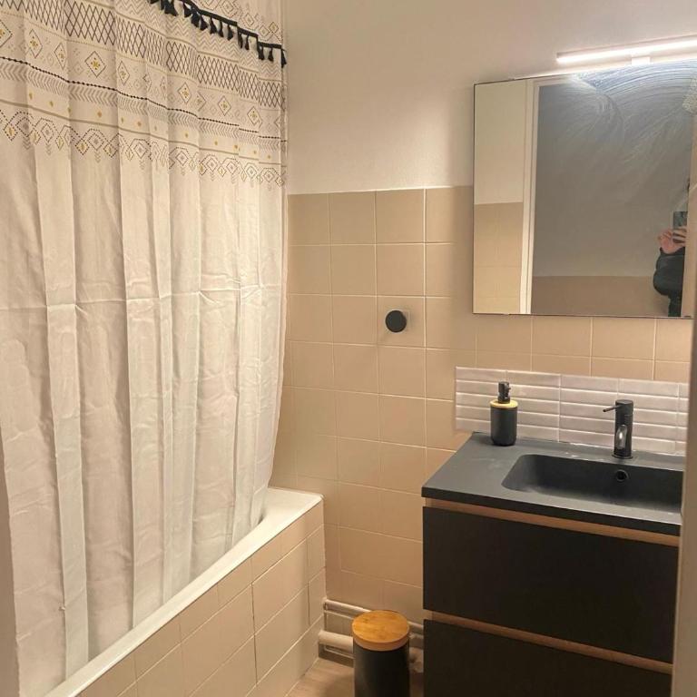 Cocon Toulousains - Appartamento con 3 Camere da Letto - 15