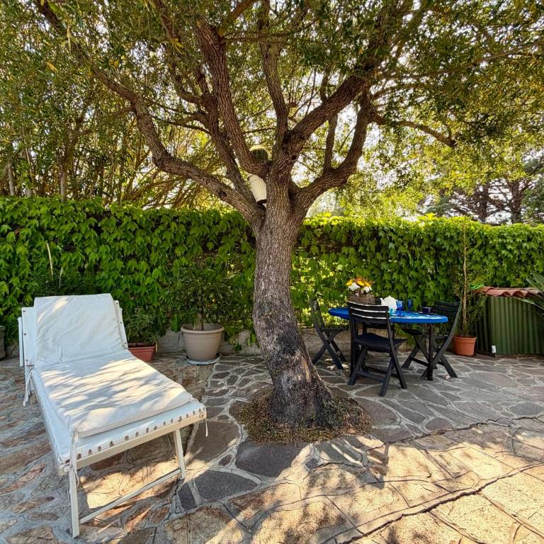 casa delle antille - Apartamento de 2 dormitorios - 47