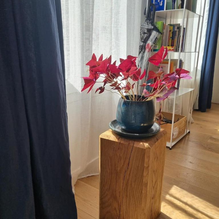 Paris, cozy apartment Marais - Studio avec Lit King-Size - 8