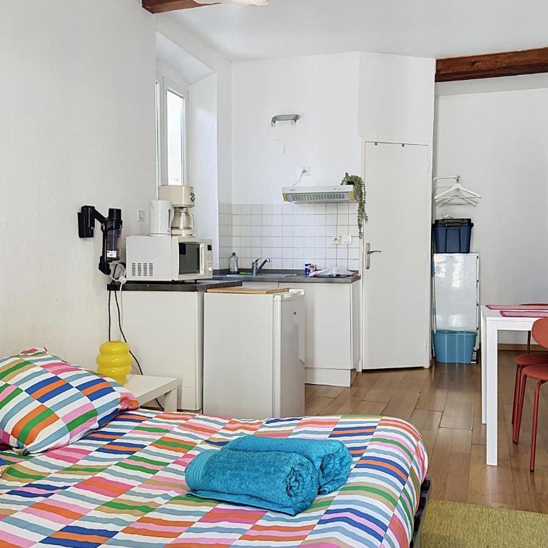 Studio Centre de Perpignan zone Castillet avec Wifi - Appartement 1 Chambre - 12