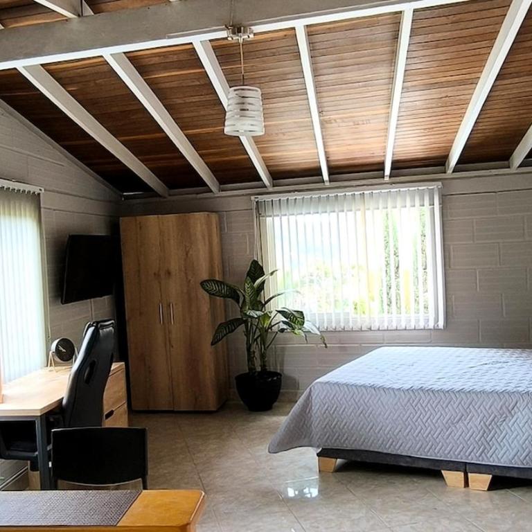 Comfortable and private country-style studio apartment - One-Bedroom Apartment - 3