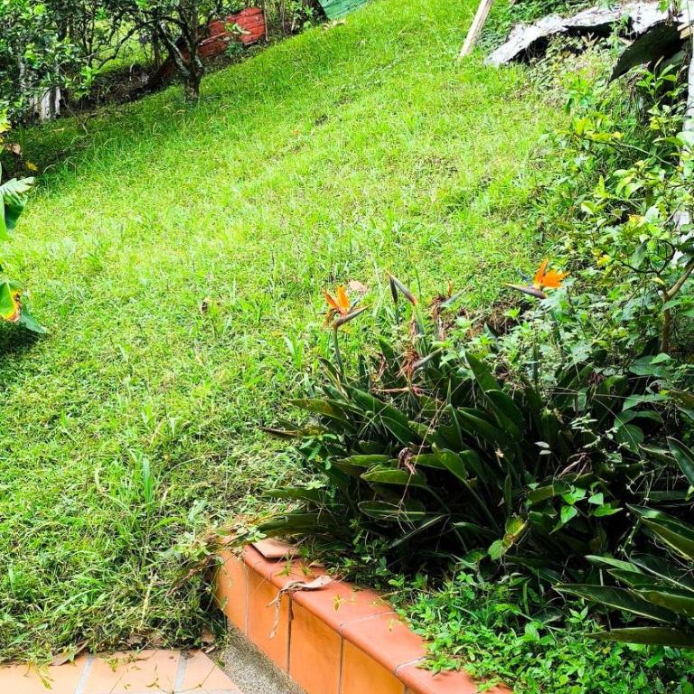 Comfortable and private country-style studio apartment - One-Bedroom Apartment - 8