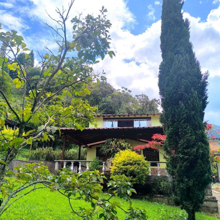 Comfortable and private country-style studio apartment - One-Bedroom Apartment - 9
