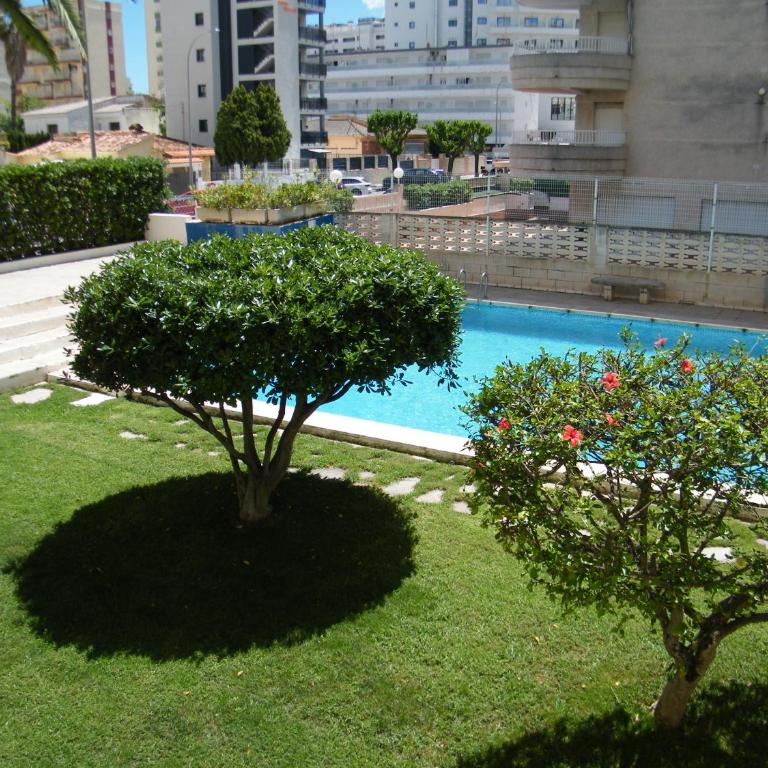Mnostrum Goleta IV Playa de Gandía, EXCLUSIVO FAMILIAS - Apartamento de 2 dormitorios con vistas a la piscina - 1