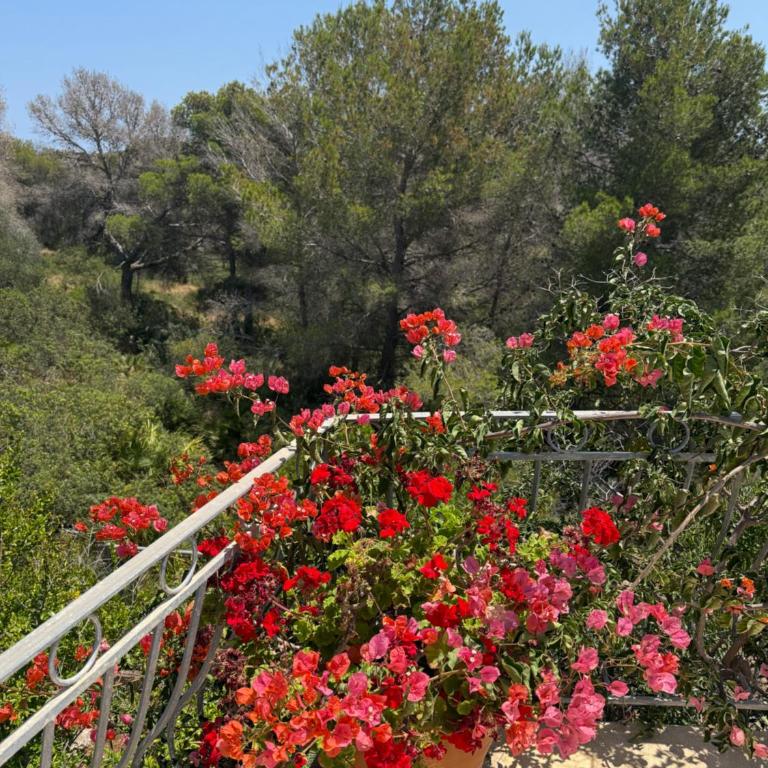 Art Villa Xabia - Villa mit 3 Schlafzimmern - 92