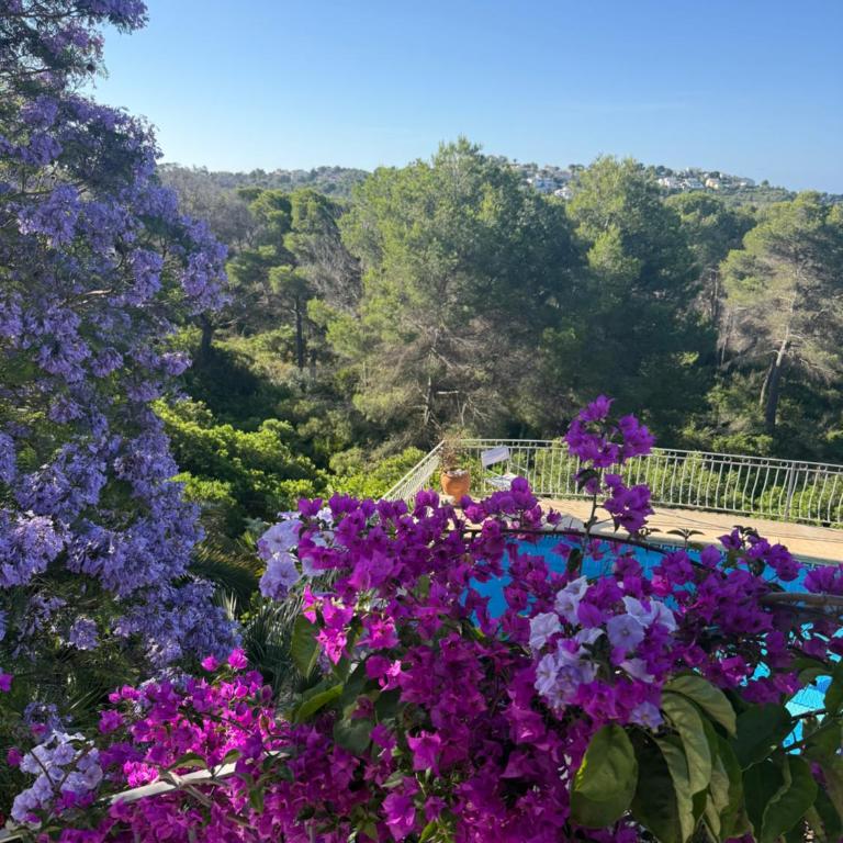 Art Villa Xabia - Villa mit 3 Schlafzimmern - 95