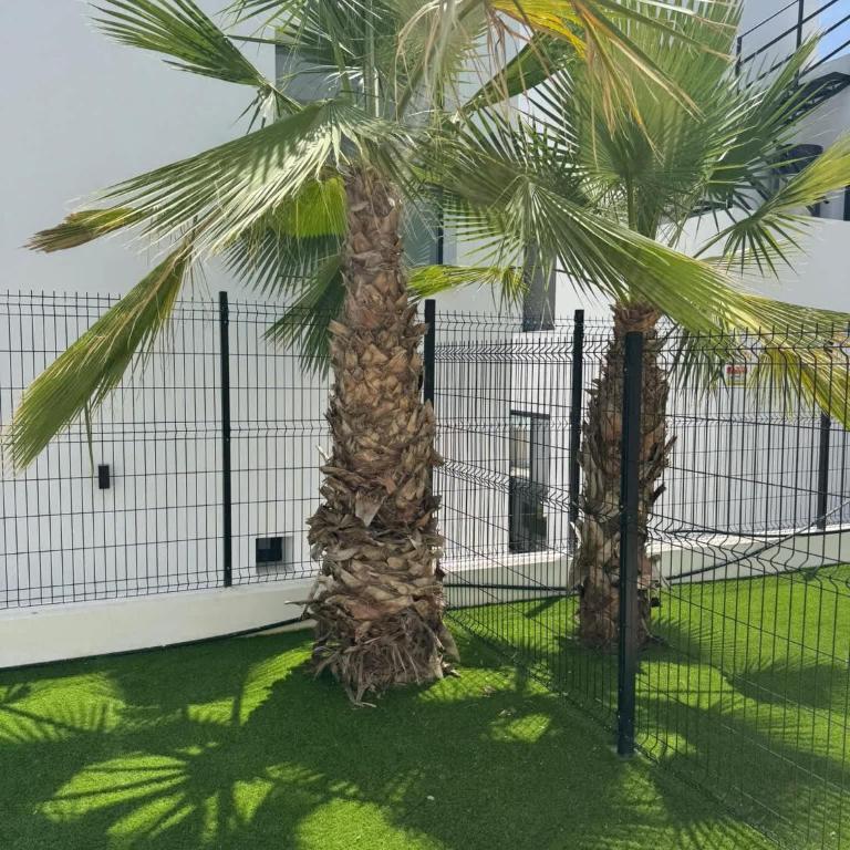 Luxury 3BR Garden Apt Pool Punta Prima PP35 - Apartamento - 28