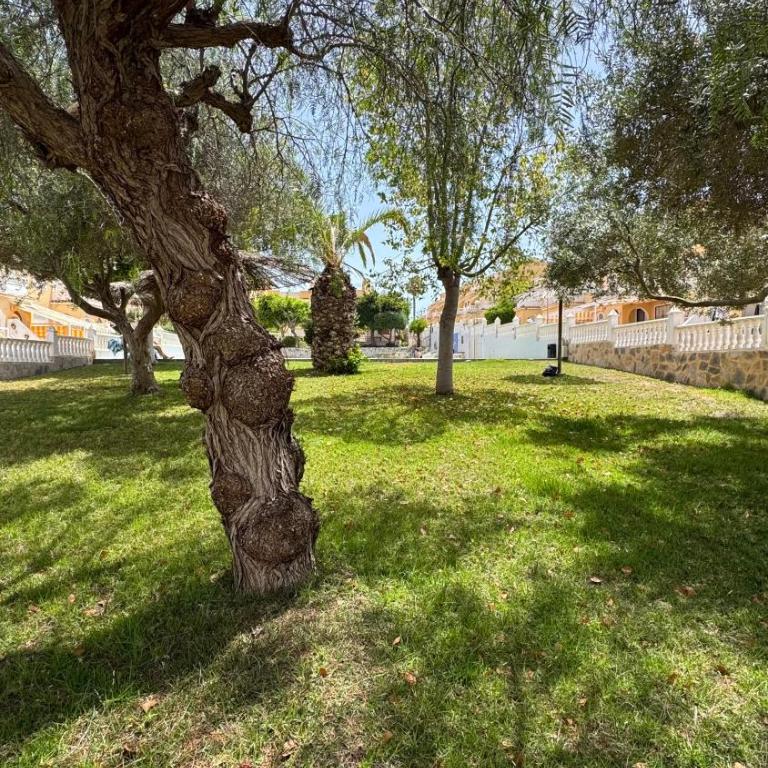 Soleado adosado esquinero frente a piscina - Casa de 3 dormitorios - 6