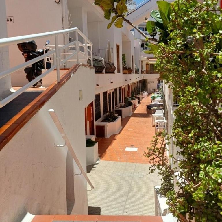 Aguamarina Apartment - Los Diamantes 2 - Appartement 1 Chambre - 49