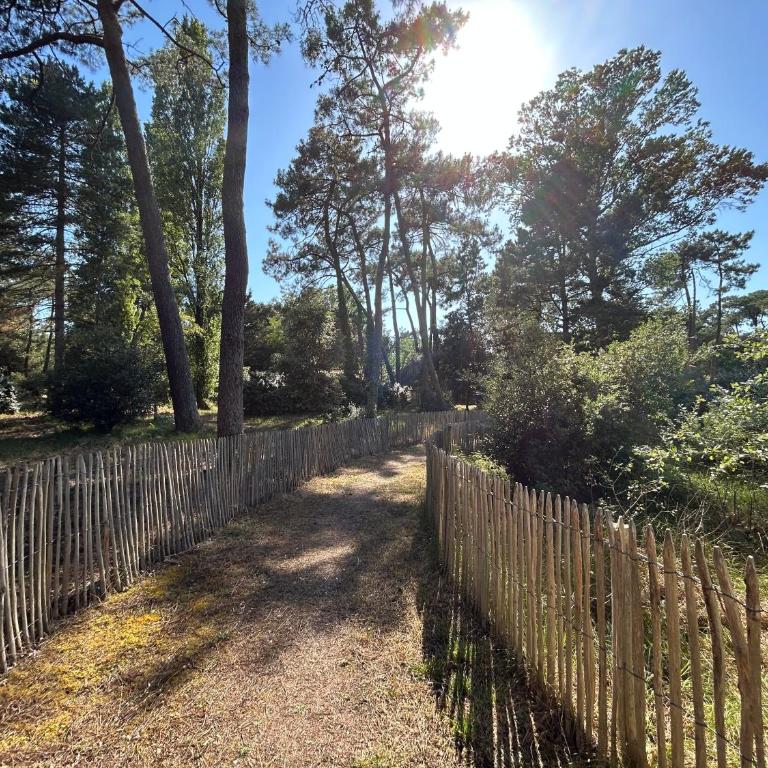 L'Escale dans les Pins - Appartamento con 1 Camera da Letto - 38