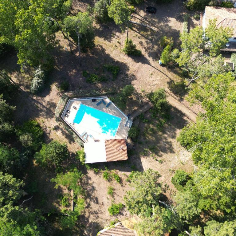 L'Escale dans les Pins - Appartamento con 1 Camera da Letto - 39