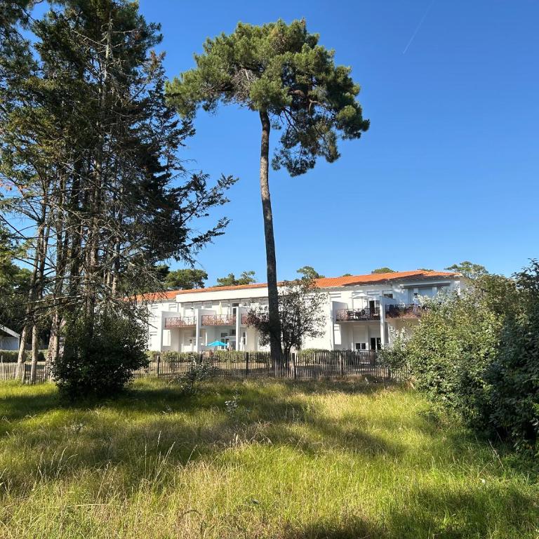 L'Escale dans les Pins - Appartamento con 1 Camera da Letto - 35