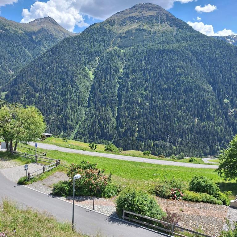 Chasa Sur Chafarrer - Apartment mit 1 Schlafzimmer - 20