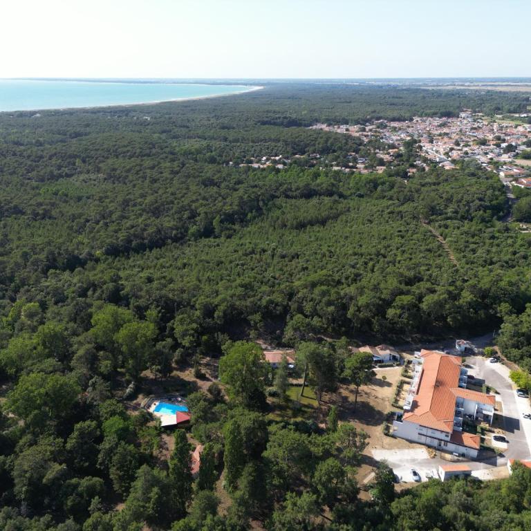 L'Escale dans les Pins - Appartamento con 1 Camera da Letto - 2