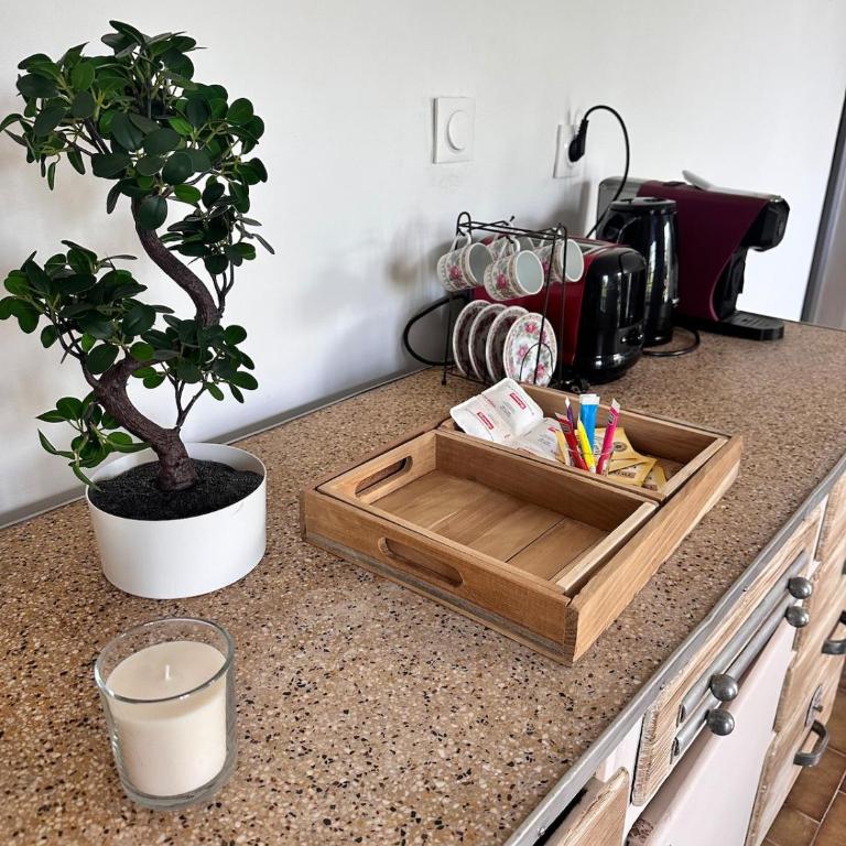 Proche Nice terrasse jardin vue exceptionnelle - Appartement 1 Chambre - 11