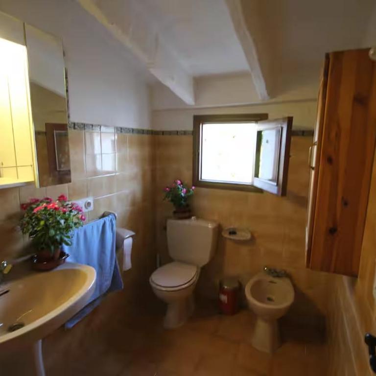 Ca na Pomara- Country house in a quiet and well-located area - Maison 4 Chambres - 20