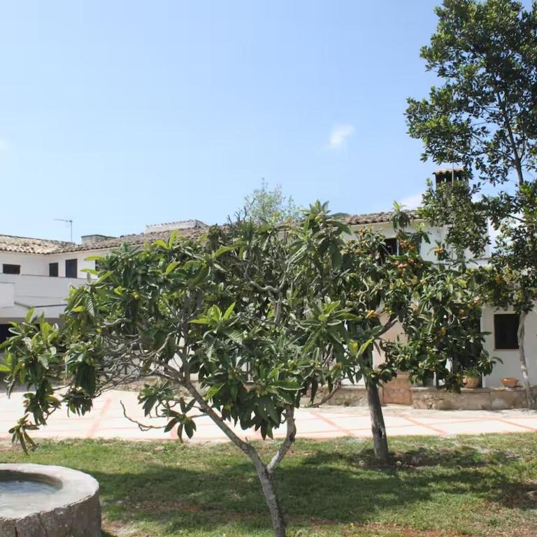 Ca na Pomara- Country house in a quiet and well-located area - Maison 4 Chambres - 11