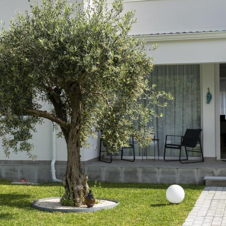 Le Casette del Sole Sunshine Apartments Case Vacanza Palermo - Two-Bedroom House - 12