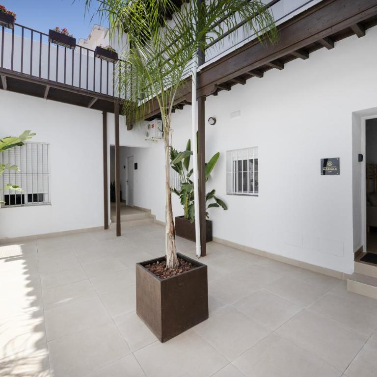 Apartamento Mamalú Jerez - Apartamento de 1 dormitorio con vistas al jardín - 21