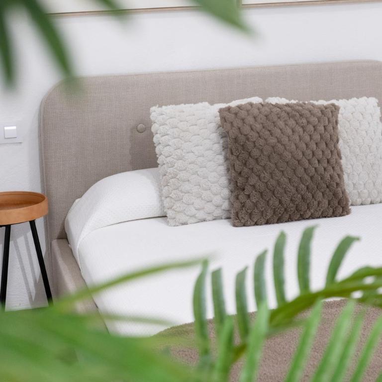 Apartamento Mamalú Jerez - Apartamento de 1 dormitorio con vistas al jardín - 6