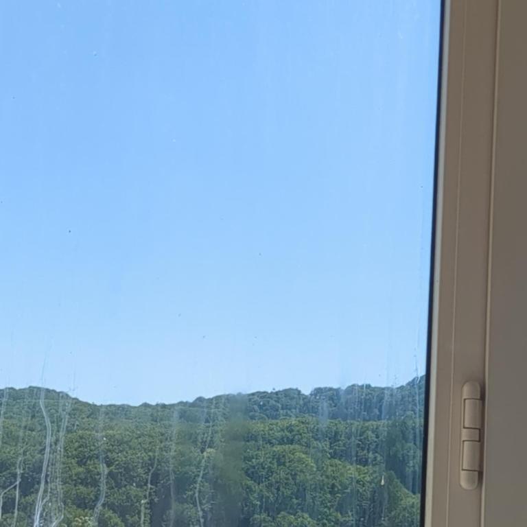 Apartment Joffre - Appartement 1 Chambre - 5