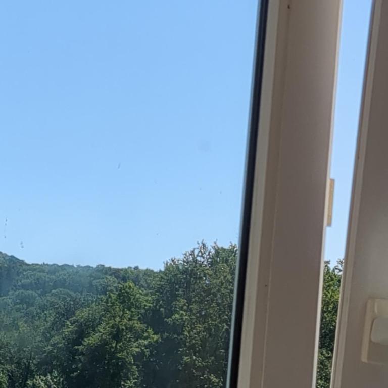 Apartment Joffre - Appartement 1 Chambre - 16