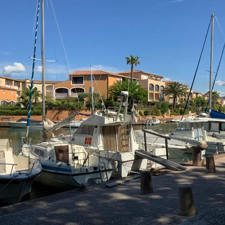 Port cogolin dans golfe de saint tropez - Apartamento de 1 dormitorio - 1