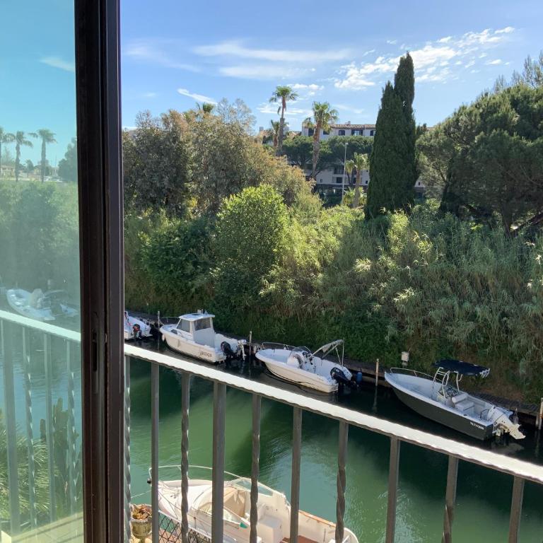 Port cogolin dans golfe de saint tropez - Apartamento de 1 dormitorio - 2