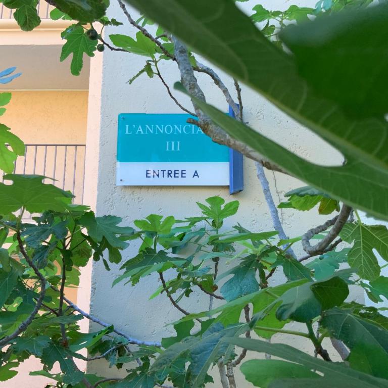 Port cogolin dans golfe de saint tropez - Apartamento de 1 dormitorio - 4