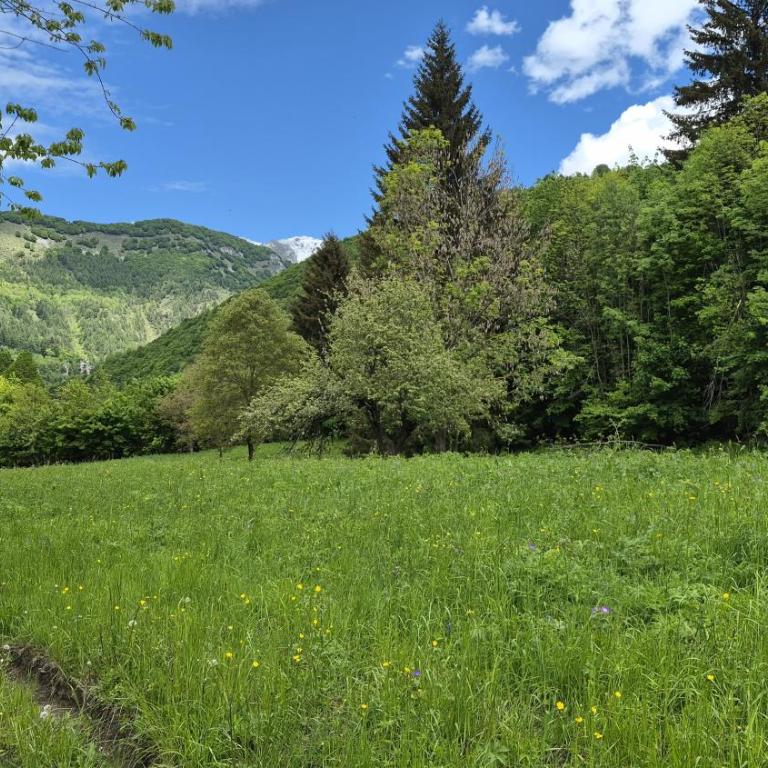 Limone Piemonte Kids Friendly - Two-Bedroom Apartment - 26