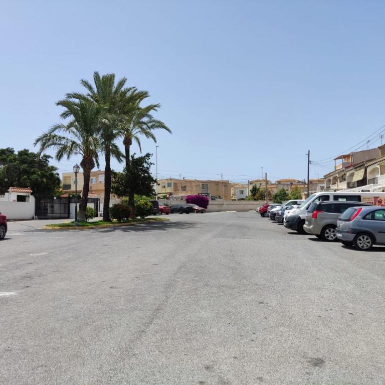 Carabassi Breeze 2 - Pool & Beach - Apartamento de 1 dormitorio - 21