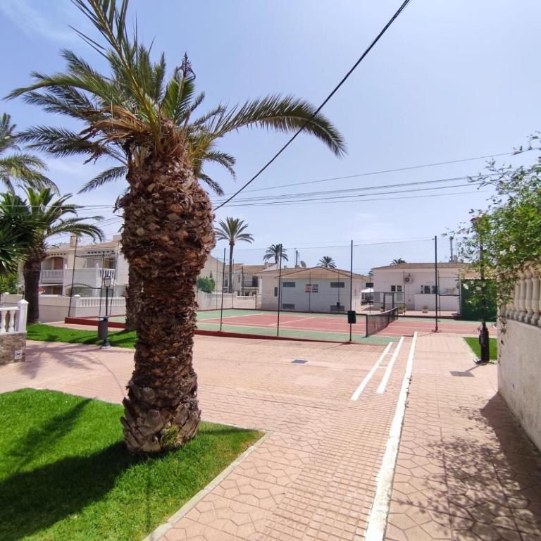 Carabassi Breeze 1 - Pool & Beach - Apartamento de 1 dormitorio - 25